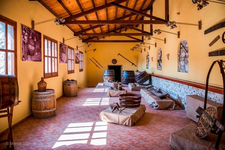 METAXA and Wine Experience