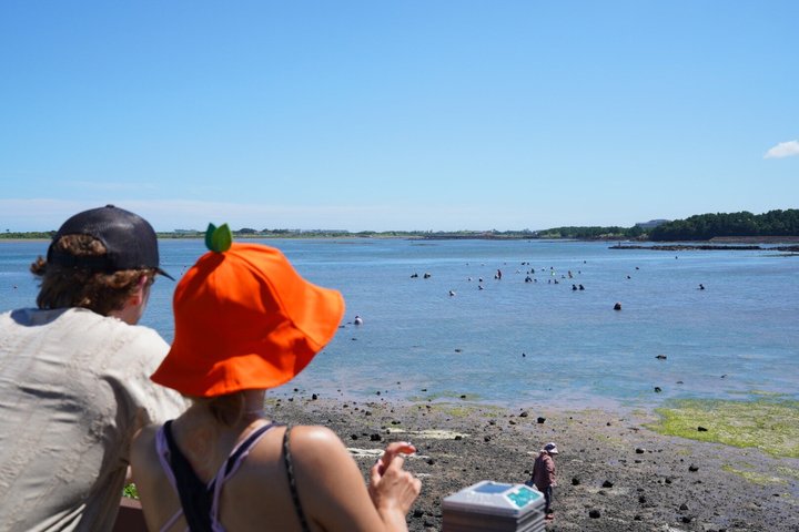 Jeju Island Eastern UNESCO site Full Day Guided Tour