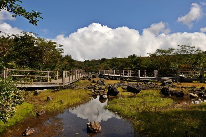 Jeju WestSouth One Day Authentic Tour with MT.Halla & UNESCO
