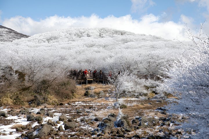Guaranteed Return - Jeju Authentic Shore Excursion Cruise