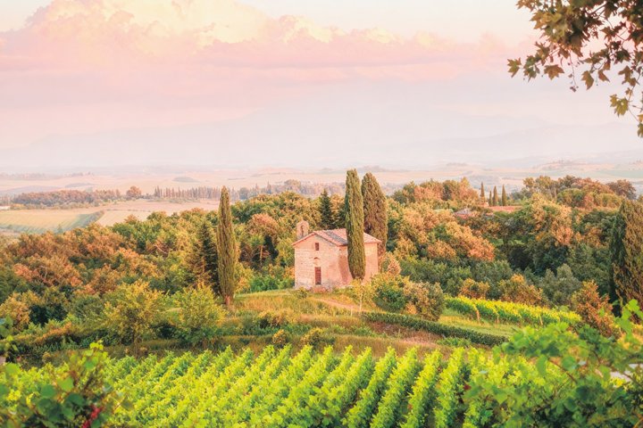 Classic Wine Tasting with Traditional Tuscan Products