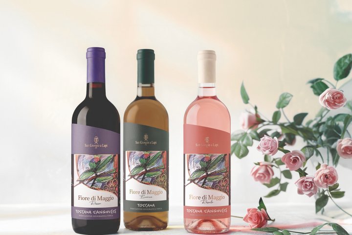 Classic Wine Tasting with Traditional Tuscan Products