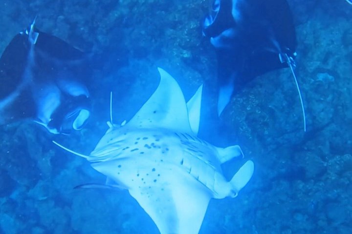 5 Day All Inclusive Fulidhoo Adventure Watersports and Excursions