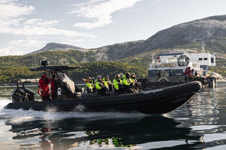 Zodiac Experience Saltstraumen and Eagle Safari