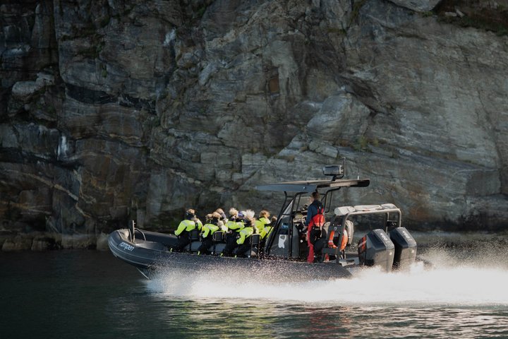 Zodiac Experience Saltstraumen and Eagle Safari