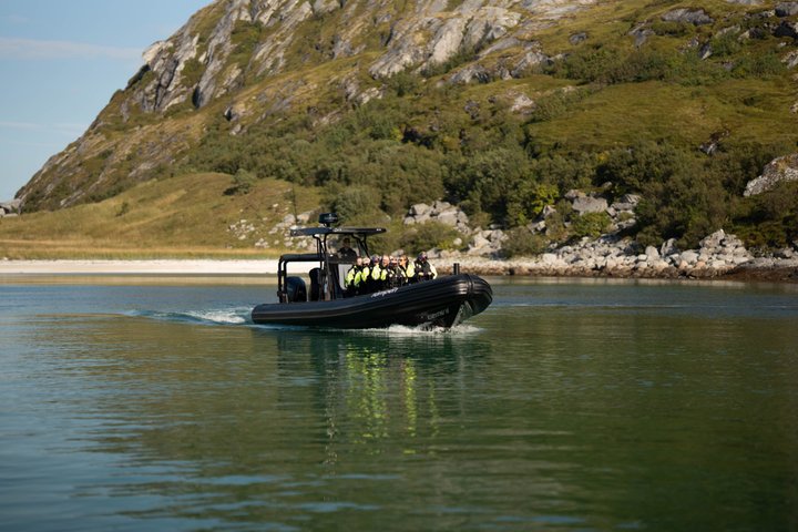 Zodiac Experience Saltstraumen and Eagle Safari