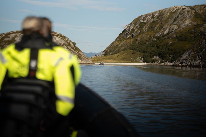 Zodiac Experience Saltstraumen and Eagle Safari
