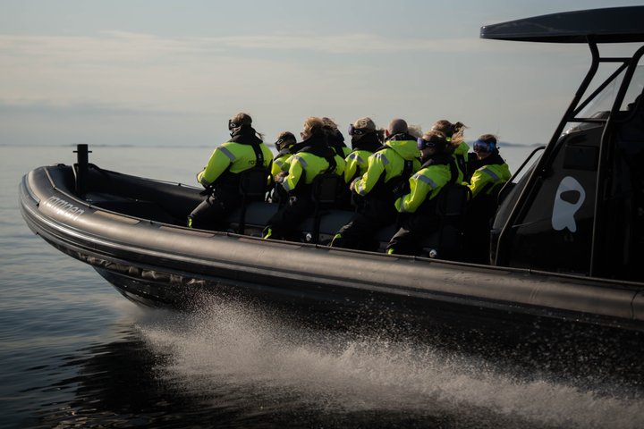 Zodiac Experience Saltstraumen and Eagle Safari