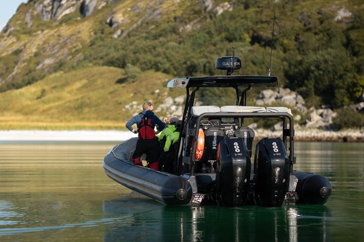 Zodiac Experience Saltstraumen and Eagle Safari