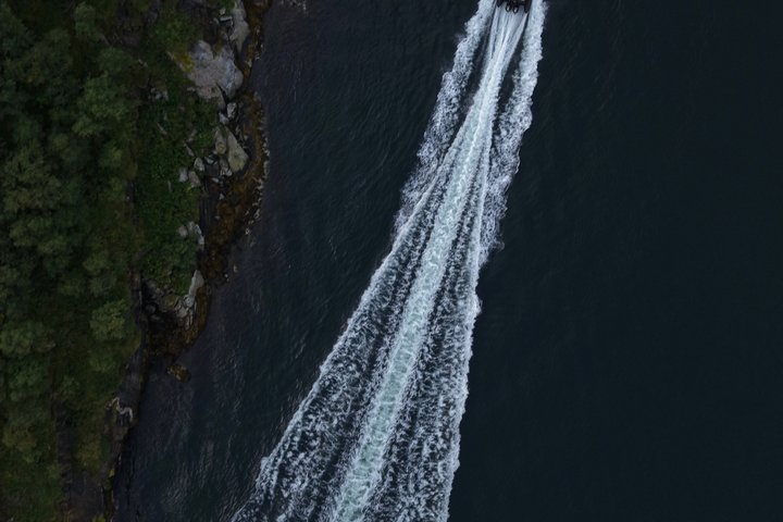 Zodiac Experience Saltstraumen and Eagle Safari