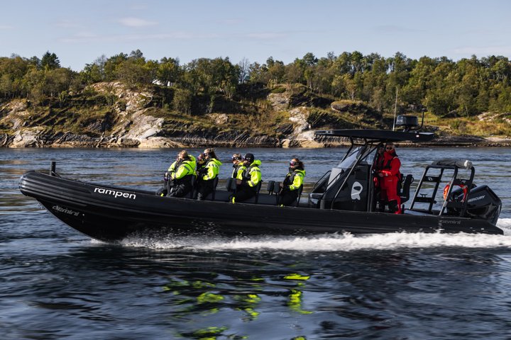 Zodiac Experience Saltstraumen and Eagle Safari