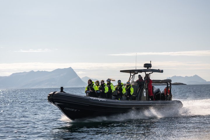Zodiac Experience Saltstraumen and Eagle Safari
