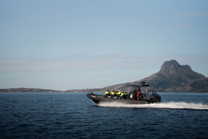 Zodiac Experience Saltstraumen and Eagle Safari