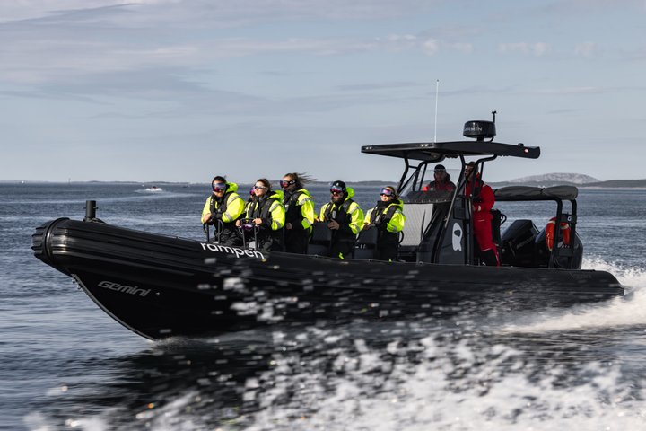 Zodiac Experience Saltstraumen and Eagle Safari