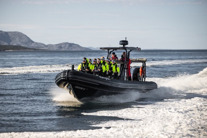 Zodiac Experience Saltstraumen and Eagle Safari