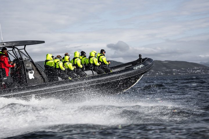 Zodiac Experience Saltstraumen and Eagle Safari