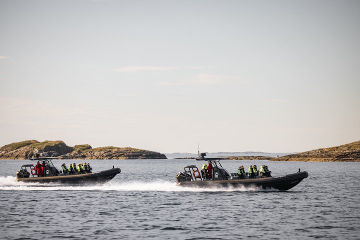 Zodiac Experience Saltstraumen and Eagle Safari