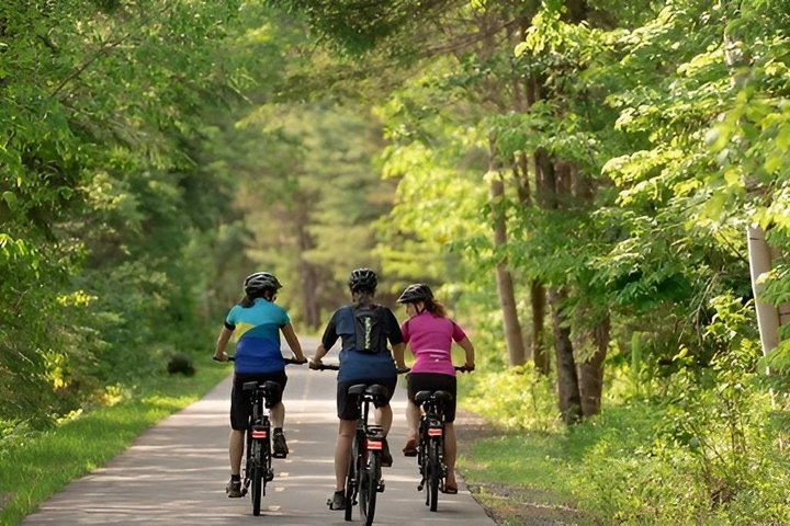 Bike Rentals Treetop Walk Package