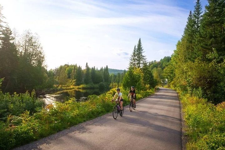 Bike Rentals Treetop Walk Package