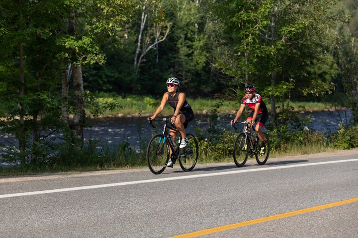 Bike Rentals Treetop Walk Package