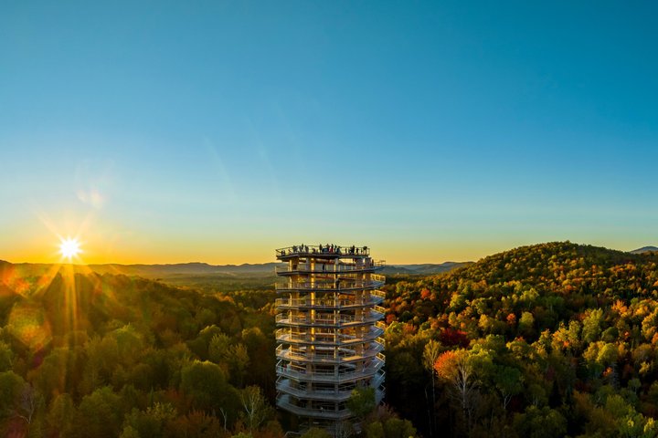 Bike Rentals Treetop Walk Package