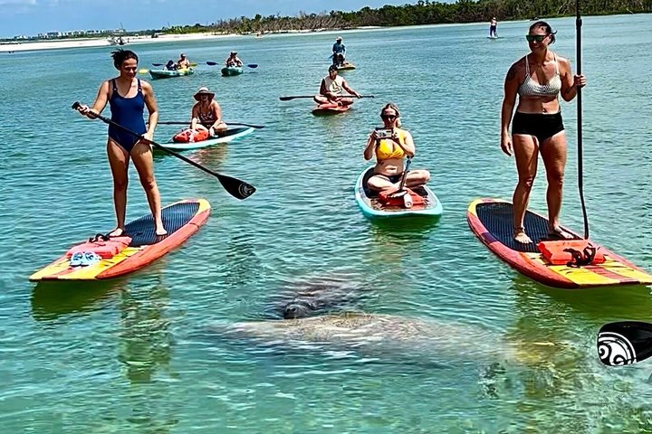 Daytona Beach Dolphin & Manatee Kayak Wildlife Adventure