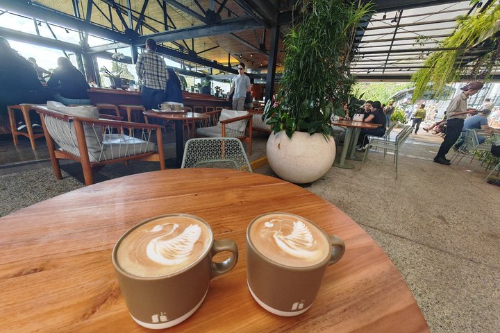 Poás Volcano and Starbucks Coffee Tasting Semi Private Tour