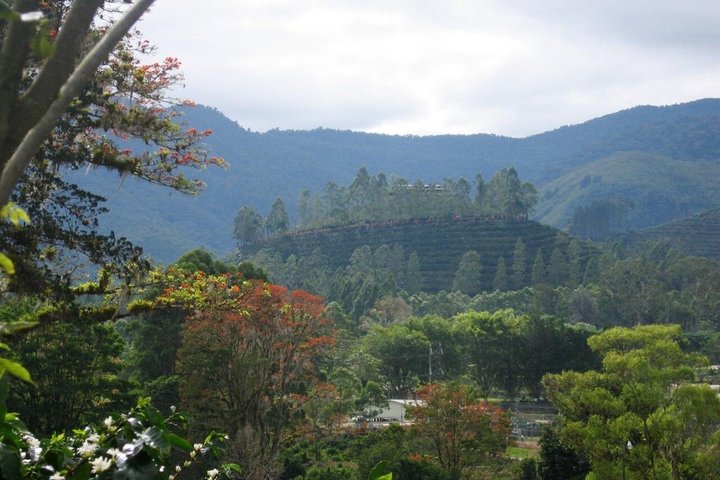 Poás Volcano and Starbucks Coffee Tasting Semi Private Tour