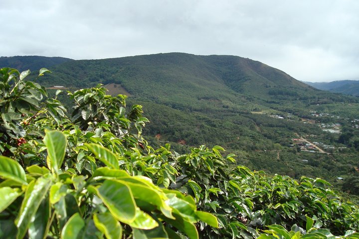 Poás Volcano and Starbucks Coffee Tasting Semi Private Tour
