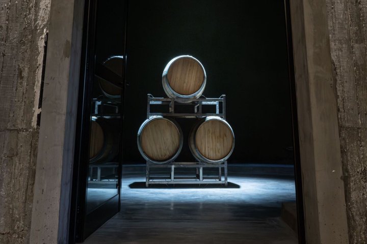 From San Juan Putruele Winery with Tasting and Pairing