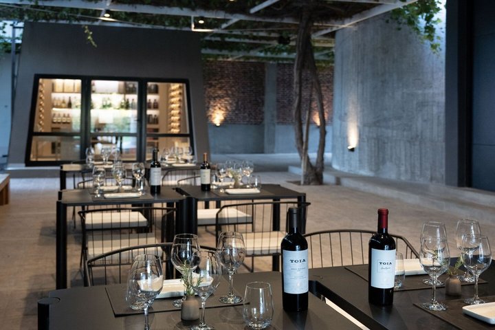 From San Juan Putruele Winery with Tasting and Pairing