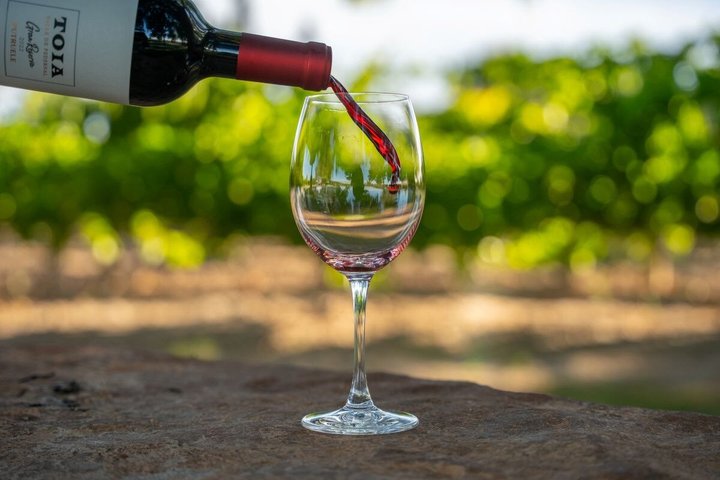 From San Juan Putruele Winery with Tasting and Pairing