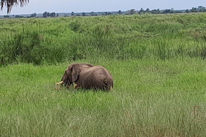 Adventure at Quiçama National Park Safari and Nature