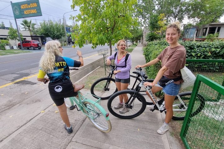 Bike Tour with Winery and Olivicola Tastings