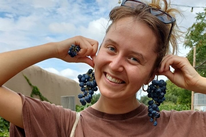 Bike Tour with Winery and Olivicola Tastings