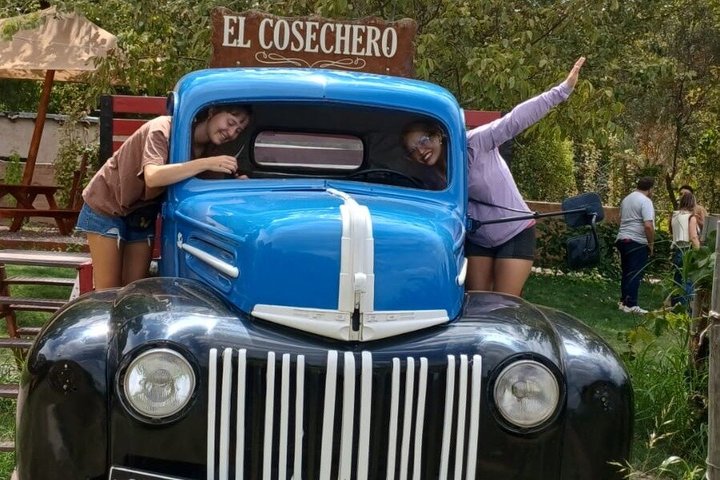 Bike Tour with Winery and Olivicola Tastings