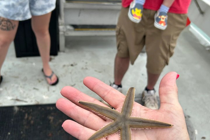 1:00 PM Eco Tour and Dolphin Watch