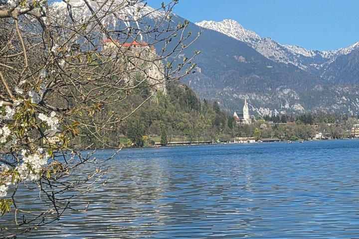 Full day tour to Lake Bled & Ljubljana from Trieste-private tour