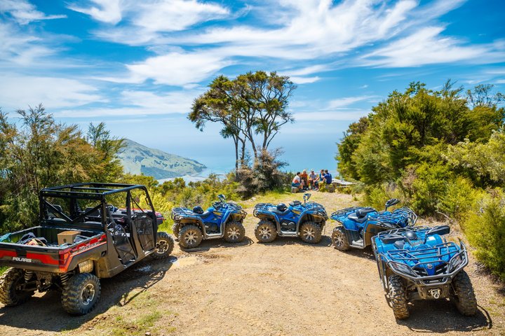 Quad Biking Adventure - Bayview Circuit