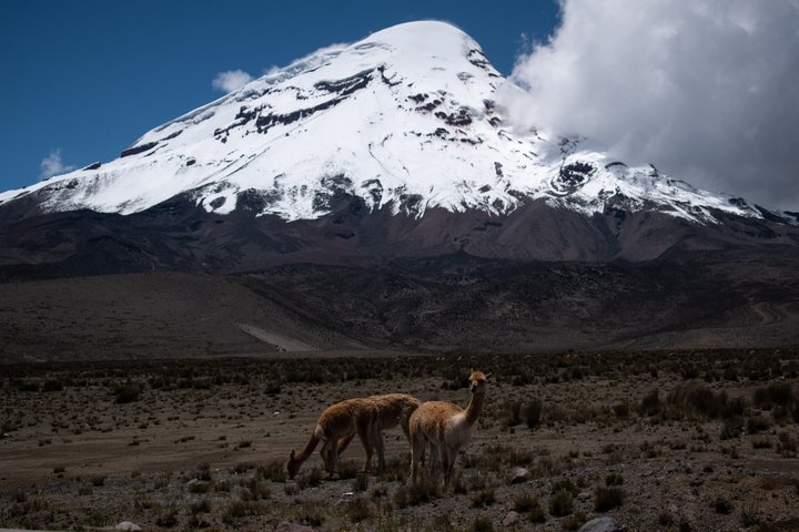 Chimborazo Full Day Tour