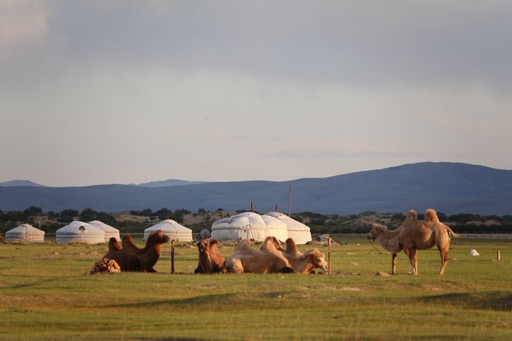 4 Days-The Best of Mongolia Collection tour