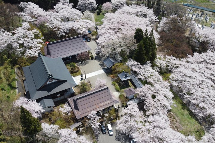 Relaxed Snow Monkeys & Shibu Onsen: Green Season Private Tour
