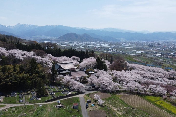 Relaxed Snow Monkeys & Shibu Onsen: Green Season Private Tour