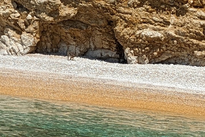 2 hour Boat tour to the wild bay's of Stara Baška