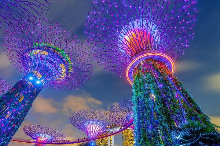 Singapore River Cruise with Spectra & Garden Rhapsody Light Show