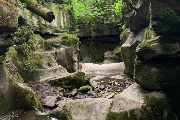 Gorge Walking Taster Session in South Wales