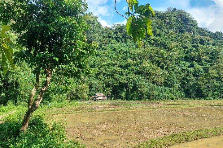 Rammang-Rammang Karst South Sulawesi Tour with Local Guide