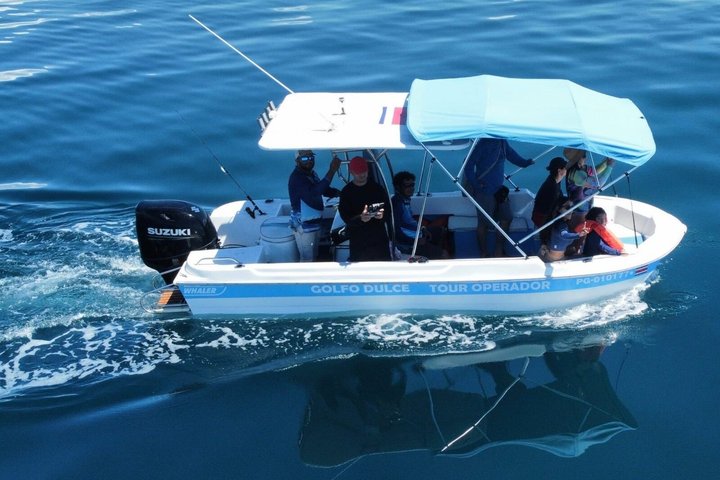 Whale Watching with Snorkeling and Fishing in Puerto Jiménez
