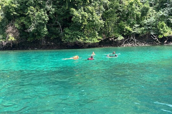 Whale Watching with Snorkeling and Fishing in Puerto Jiménez