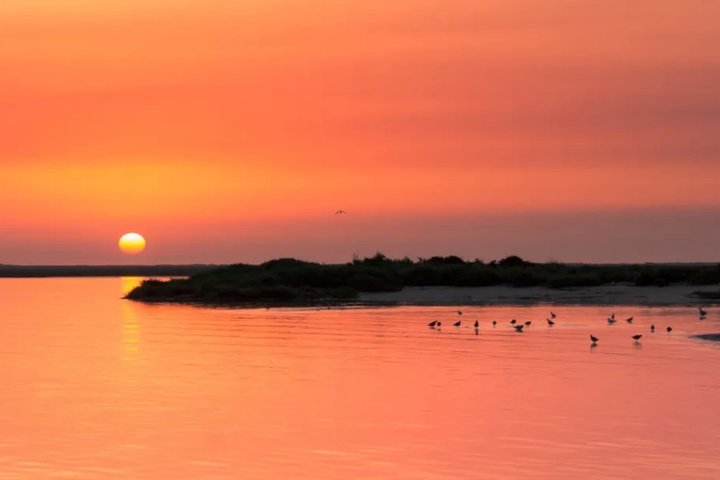 Sunset Tour | Ria Formosa - From Faro